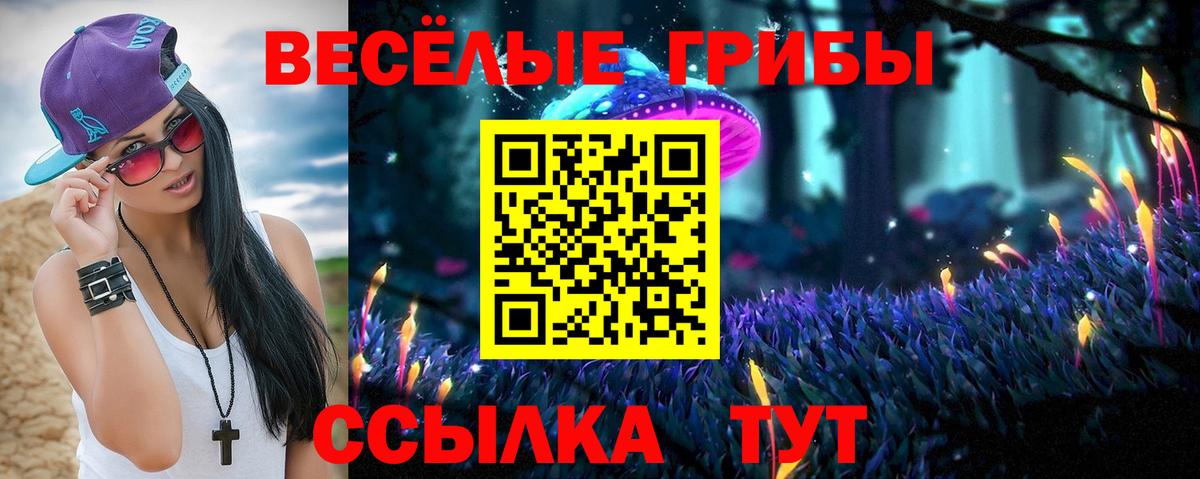 Галлюциногенные грибы Psilocybe Гудермес