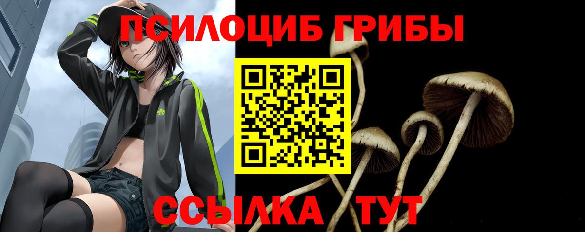Псилоцибиновые грибы мицелий  Вход с VPN  цены   Гудермес 